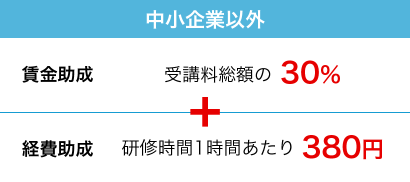 特定訓練コース　中小企業以外